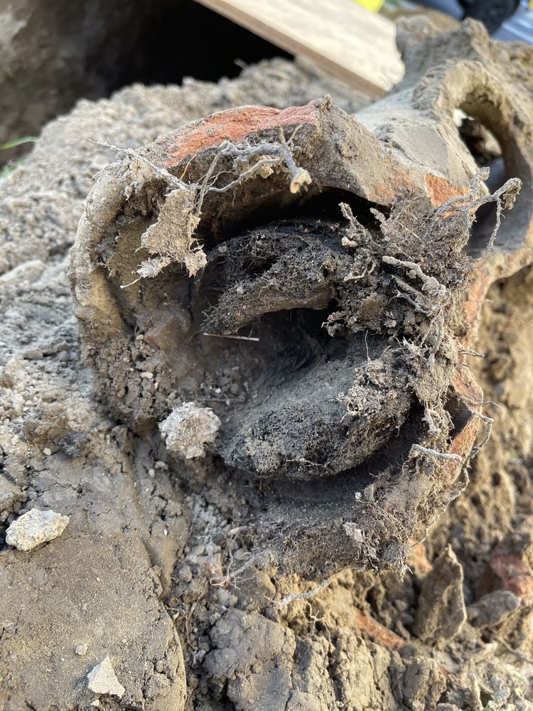 Sewer Line Repair & Replacement project photo